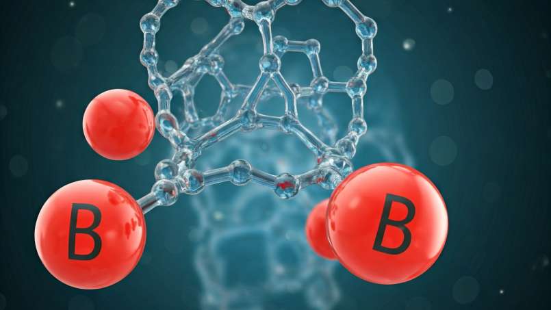 Tipurile de vitamine B și beneficiile acestora